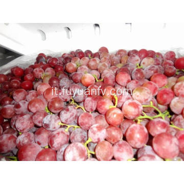 uva rossa fresca di buon gusto per l&#39;esportazione